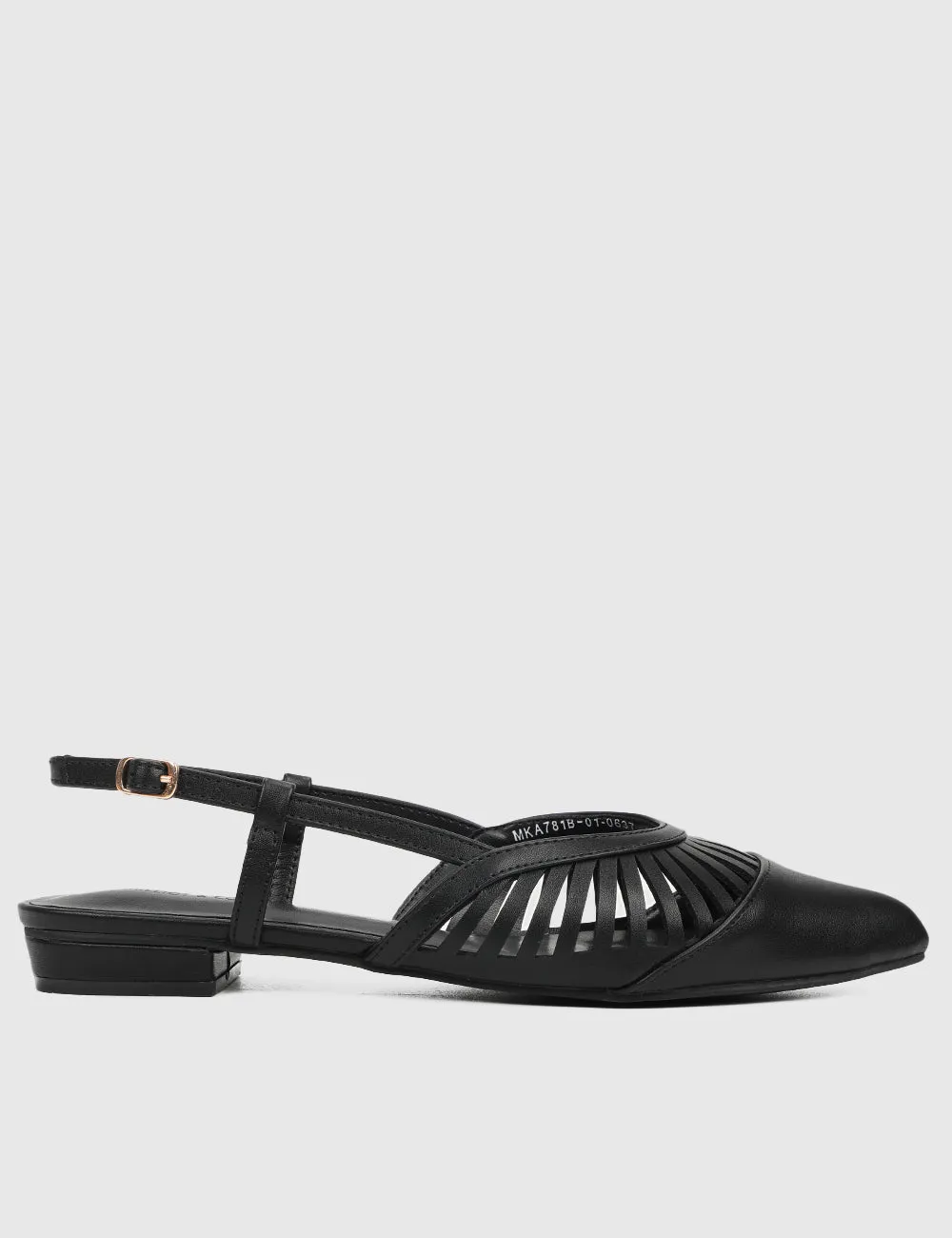 Cecilia Pointed Toe Ballerina & Flats (Black)
